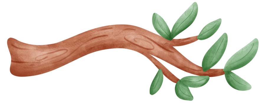 tree branch watercolor png