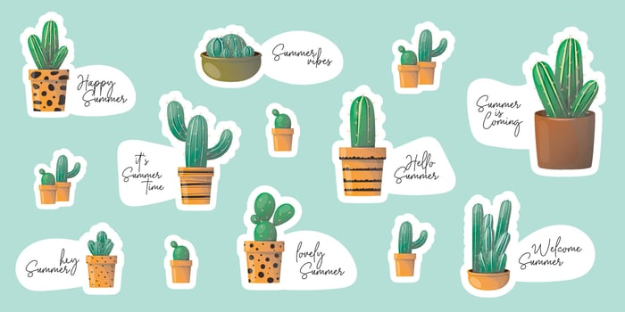 set of cactus sticker vector