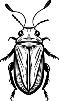 cute insect cartoon vector