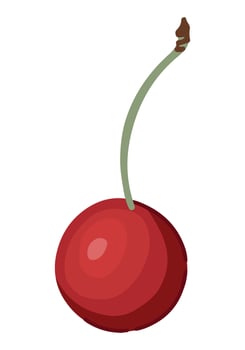 Cherry fruit clipart. Summer harvest doodle isolated on white. Colored vector illustration in cartoon style.