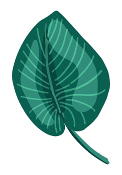 Tropical leaf clipart. Exotic flora doodle. Cartoon vector botany illustration. Contemporary style drawing isolated on white.