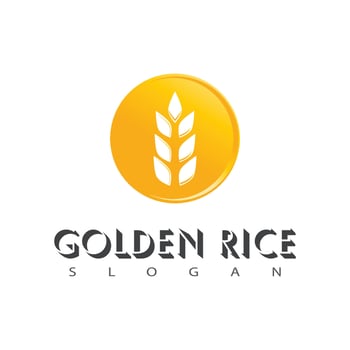 Wheat Logo template vector illustration design