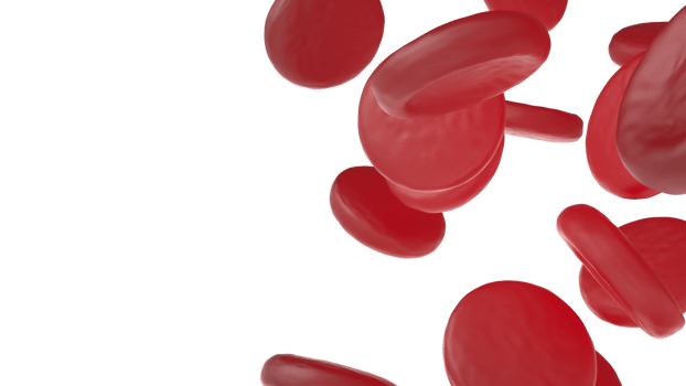 Red cells scene isolated on background. 3d rendering - illustration png
