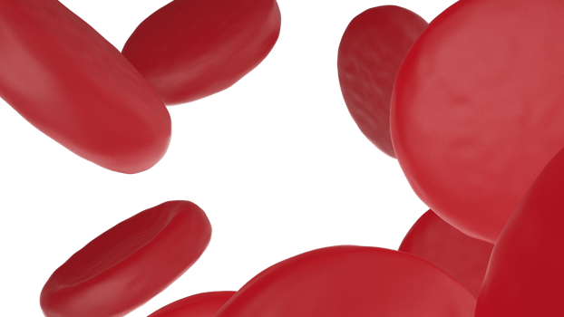Red cells scene isolated on background. 3d rendering - illustration png