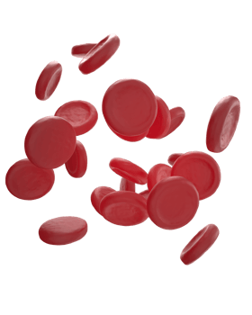 Red cells scene isolated on background. 3d rendering - illustration png
