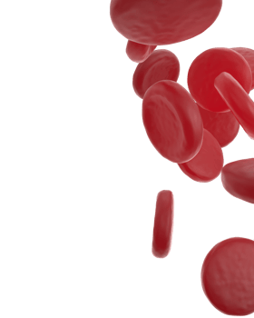 Red cells scene isolated on background. 3d rendering - illustration png