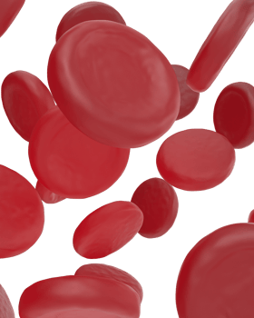 Red cells scene isolated on background. 3d rendering - illustration png