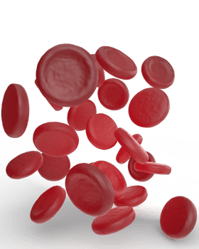 Red cells scene isolated on background. 3d rendering - illustration png