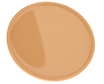 Modern shield isolated on background. 3d rendering - illustration png