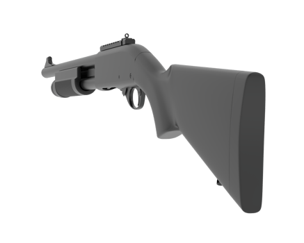 Shotgun isolated on background. 3d rendering - illustration png