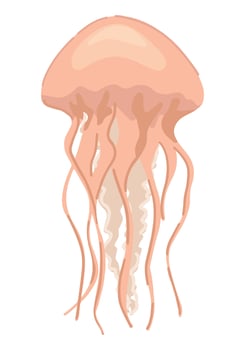 Jellyfish, medusa clipart. Single doodle of underwater animal isolated on white. Colored vector illustration in cartoon style.