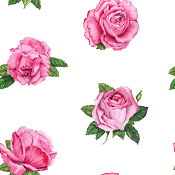 Seamless pattern with pink rose flowers and green leaves. Hand drawn watercolor illustration isolated on transparent background. Floral background for cards, invitations, wrapping and wallpaper png