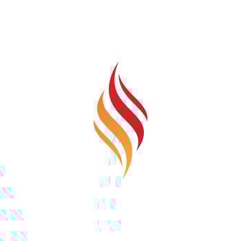 Fire flame vector illustration design