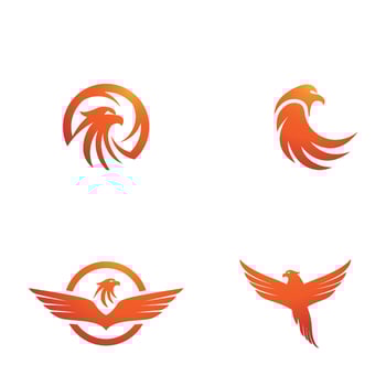 Falcon Logo Template vector