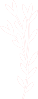 Hand drawn pink branch with leaves png