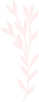 Hand drawn pink branch with leaves png