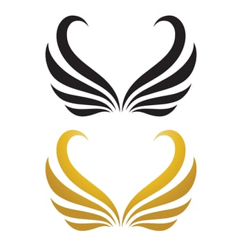 Wings gold and black bird  logo vector illustration template