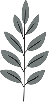 minimalist leaves free png
