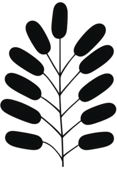 minimalist leaves free png