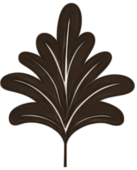 minimalist leaves free png