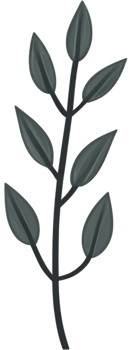 minimalist leaves free png
