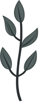 minimalist leaves free png
