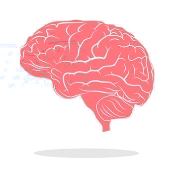Color brain illustration Brain concept logo on a white background eps vector