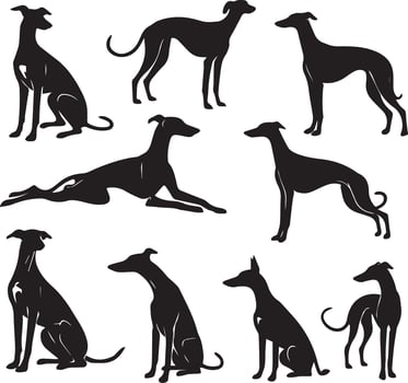 Silhouette Solid Vector Icon Set Of Dog, Breeds, Canine, Pooch, Hound, Puppy, Mutt, Pet, Doggy