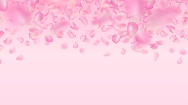 background of realistic falling pink rose petals. Template of flying voluminous blurred sakura petals with blur effect. Spring floral illustration for wallpaper, banner, romantic greeting card. vector