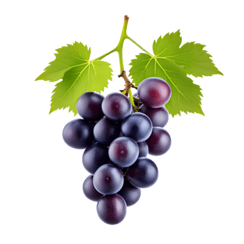 AI generated Grape Bunch Isolated on Transparent Background png