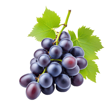 AI generated Grape Bunch Isolated on Transparent Background png