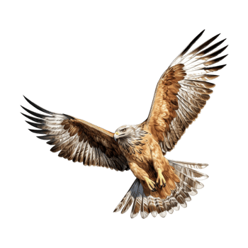 AI generated Flying Eagle on Transparent Background - Ai Generated png