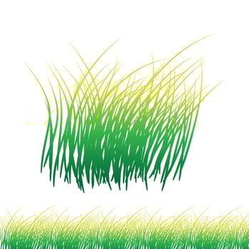 Natural green grass vector for eco, bio, and nature design