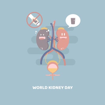 world kidney day, kidney and bladder health care infographic diagram, cut down on salt with hand holding salt shaker and drink lots of water concept, flat character design clip art vector illustration