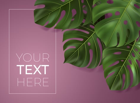Vector poster with realistic green tropical leaves. Monstera leaf on pink background. Botanical illustration with copy space for your text. Template for banner, invitation card, ad, web design.