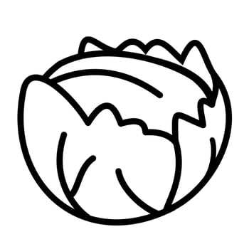 Whole cabbage outline illustration for children colouring book. Ready to print. vector