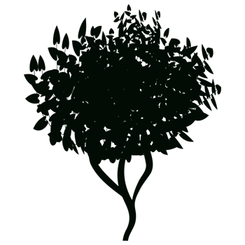 Decorative garden plants. png