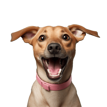 AI generated Dog png isolated on transparent background