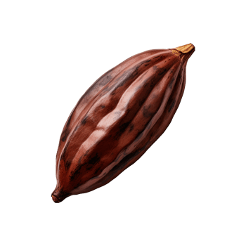 AI generated Cocoa png isolated on transparent background