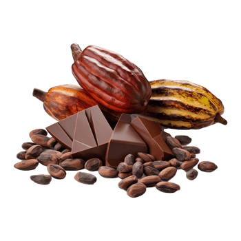 AI generated Cocoa png isolated on transparent background
