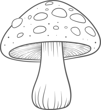 AI generated Mushroom clipart design illustration png