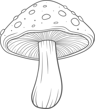 AI generated Mushroom clipart design illustration png