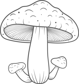 AI generated Mushroom clipart design illustration png