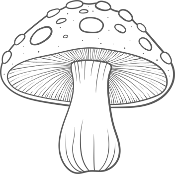 AI generated Mushroom clipart design illustration png