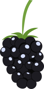 blackberry cartoon clipart png