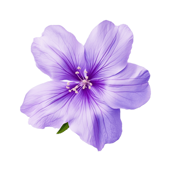 AI generated Violet flower isolated on Transparent background png