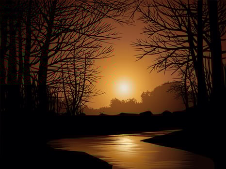 Dramatic golden sunset at riverside vector
