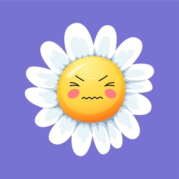 Cartoon angry chamomile daisy flower nervous smile vector