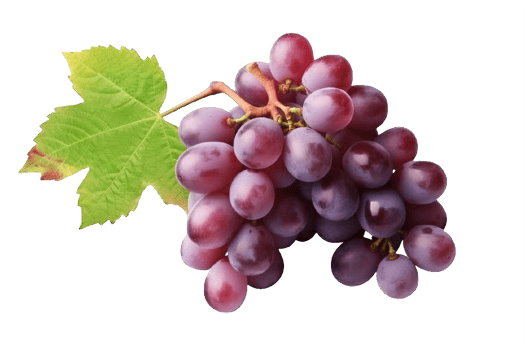 AI generated Ripe Bunch of Purple Grapes with Dew Drops Isolated on transparent background png