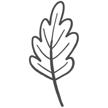 Sketche collection of woodland line png